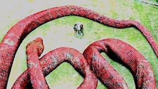 MegaBoa (2021) Film Explained in Hindi/Urdu | Mega Boa Big Snake Story Summarized 