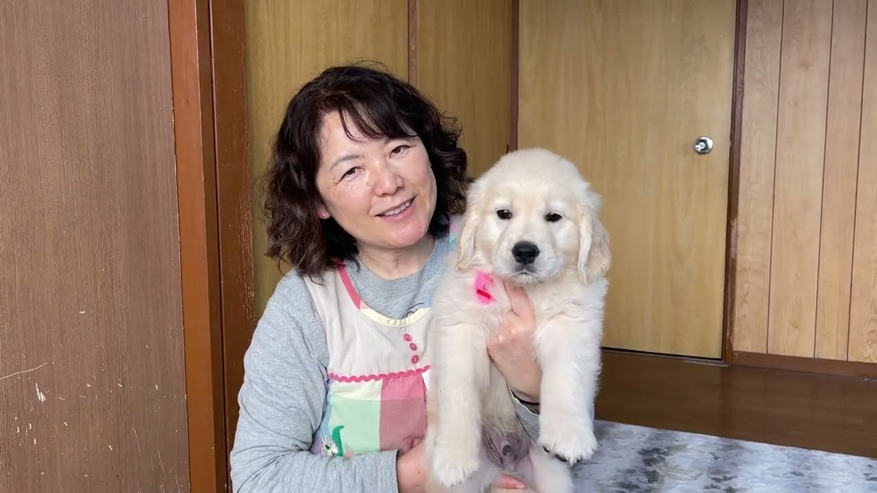 マギーの子犬　1～5番君　2026.3.1撮影