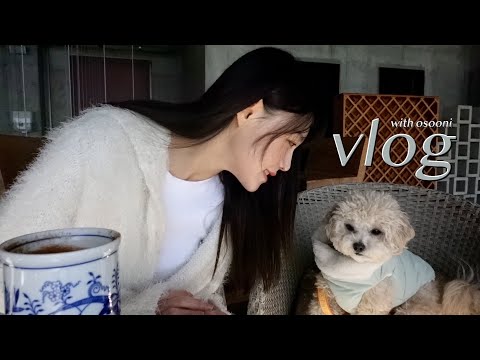 강아지와 함께 바다 여행 브이로그🐬(in 거제도)