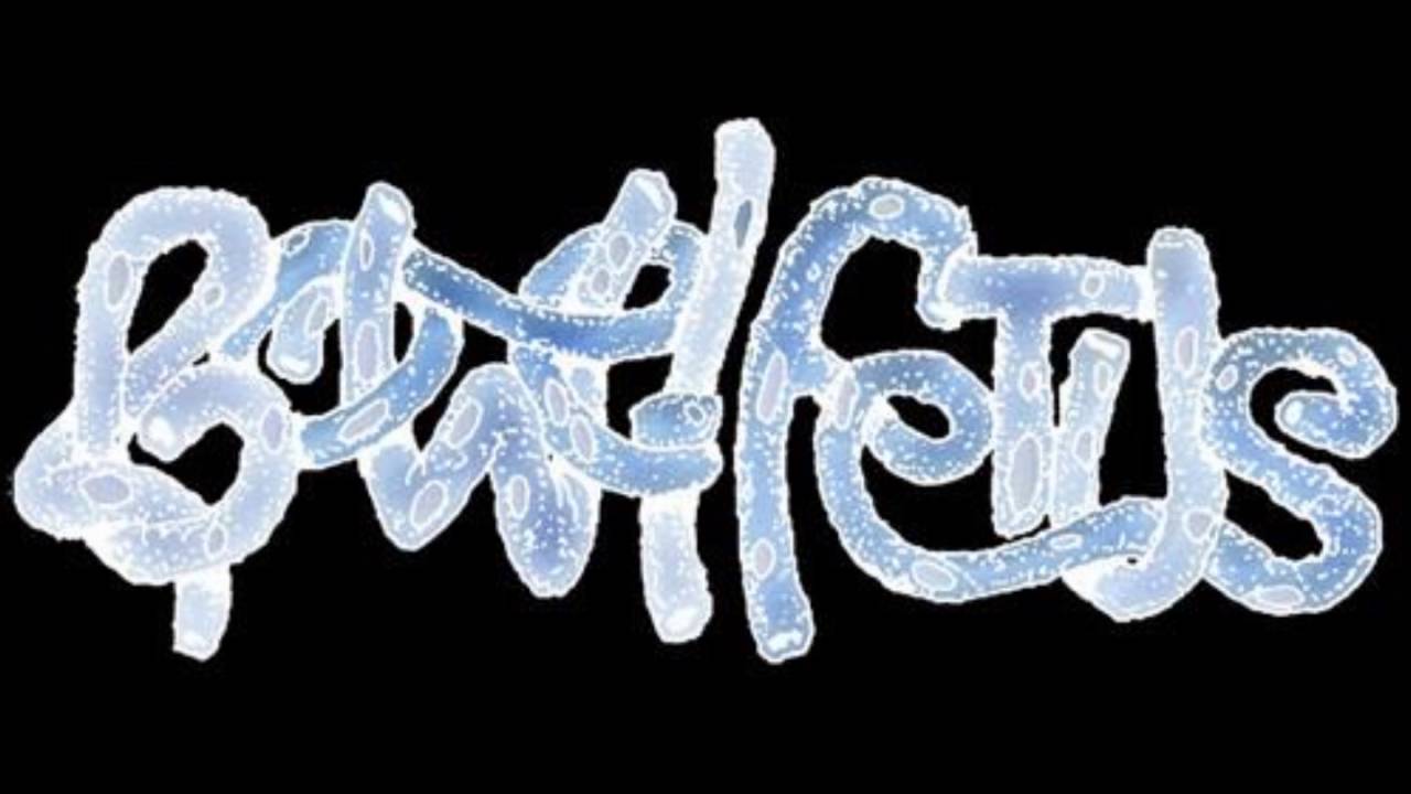 BOWEL FETUS - FETAL TOILET TREATS