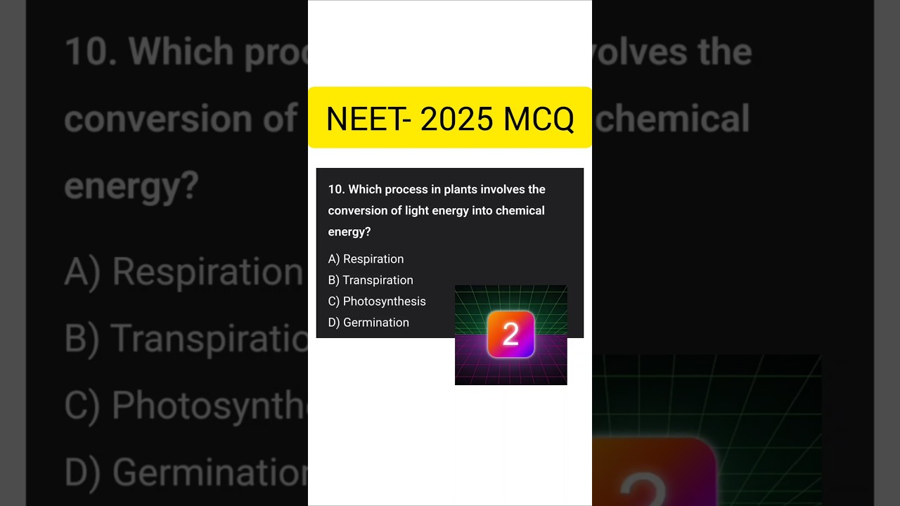 Neet-2025 mcq 