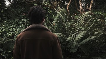 Vernunft | Reflections at Lake Constance