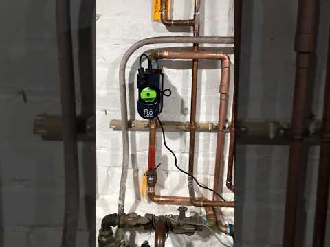 Moen-Flo 3/4” Auto