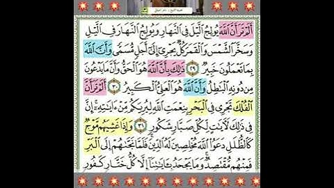 #ألم تر أن الله يولج الليل فى النهار# مقطع قرآنى للشيخ ماهر_ المعيقلى من سورة لقمان.