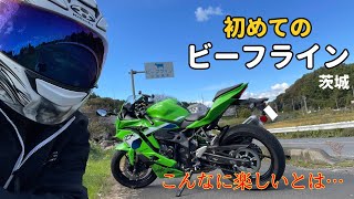 Download Lagu 【ZX-4RR】初めてのビーフラインが楽しすぎた…！想像以上の快走ワインディング【茨城ツーリング】【4K】 MP3