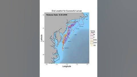 Atlantic Sea Scallop Larval Dispersal Model