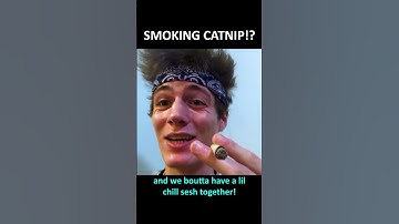 Smoking CATNIP! 😸😸