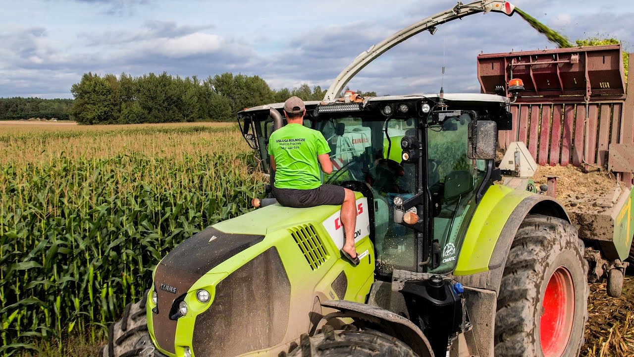 ☆ TWARDE MECENASY W AKCJI! ☆ Koszenie Kukurydzy Na Kiszonkę Z GR Frączek! ☆ Armia Claasów W Natarciu