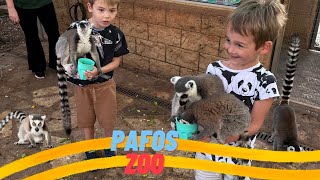 Paphose Loomaaias Küprosel @2kidsplaytube (Pafos Zoo)