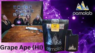Pamolab Vendor Sampling Presentation