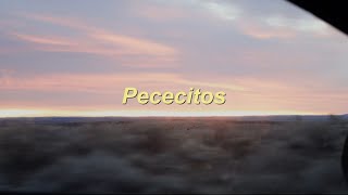 Andrea Bejar & Danny Schiller- Pececitos (Visualizer)