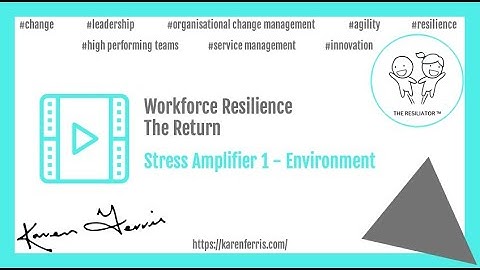 Workforce Resilience - Stress Amplifier 1 - Environment