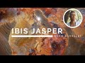 Ibis Jasper - The Crystal of Healing Trauma