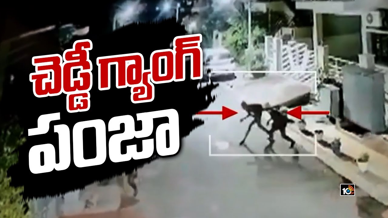 చెడ్డీ గ్యాంగ్ పంజా | Chaddi Gang Spotted Again in Vijayawada | 10TV News