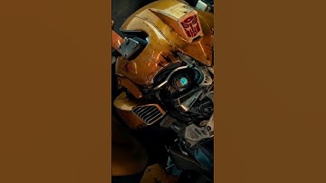 Why Bumblebee Don