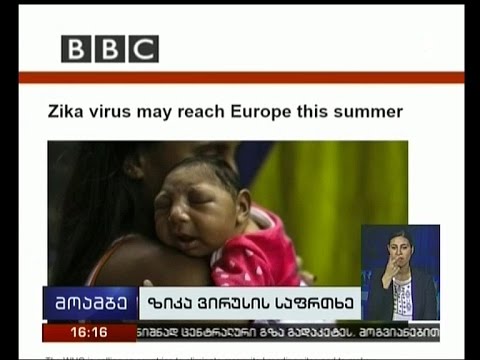 არსებობს თუ არა საქართველოში „ზიკა“ ვირუსის გავრცელების საფრთხე