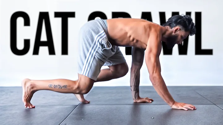 The Only 5 Animal Movements you Need