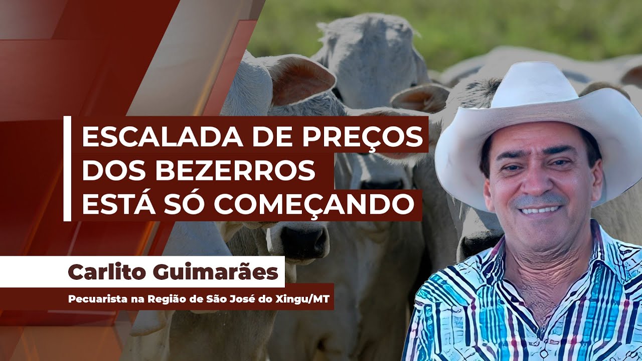 Pecuarista alerta, arroba do boi segue em alta, mas as atenções agora se voltam para escalada...