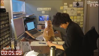 study with me live pomodoro screenshot 3