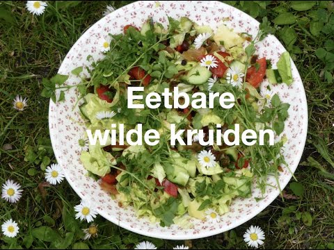 Video: Eetbare kruiden in de tuin: namen en foto's. Eetbare wilde kruiden