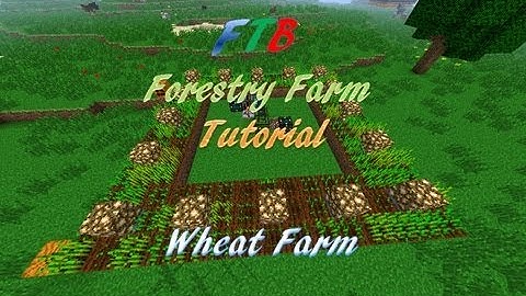 FTB Forestry Farm Tutorial - Wheat Farm