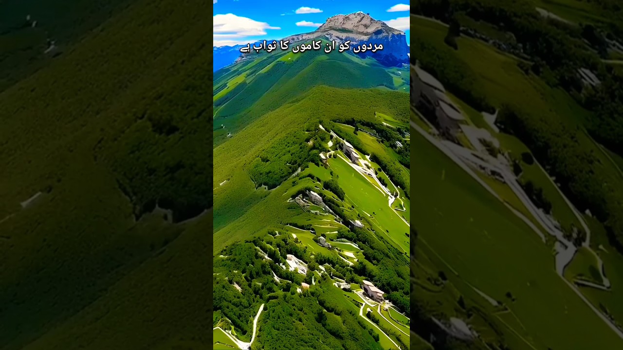 Quran translation #status #quranicverse #quran