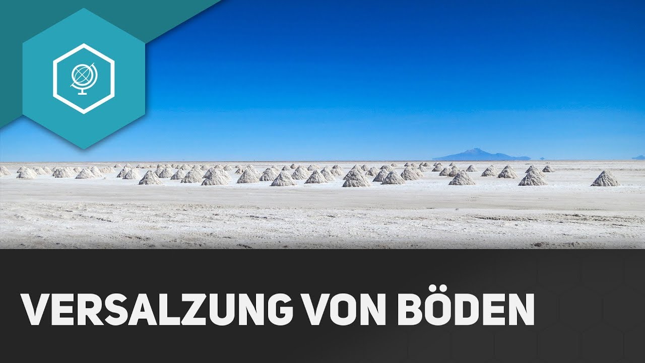 Versalzung Von Boden Bodendegradation 2 Gehe Auf Simpleclub De Go Werde Einserschuler Youtube
