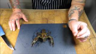 Crayfish. Dispatch And Cleaning Crayfish.