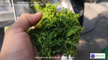 Máy vắt nước cốt lá đu đủ - Điện Cơ Xanh - 0984467870