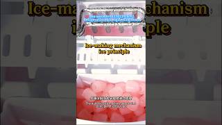#HomeIceMaker #ConvenientLiving #ice SummerMustHave #KitchenUpgrade#Air Fryer# Household Appliance