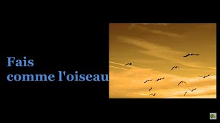 Video thumbnail of "Fais comme l'oiseau - Michel Fugain  & Le Big Bazar  (Paroles)"