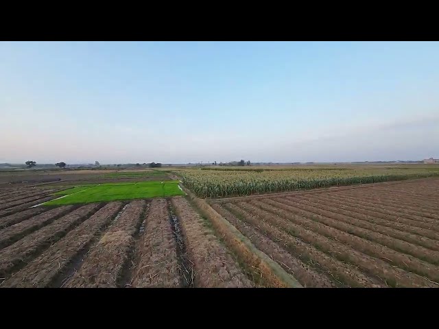 Epic DJI AVATA Rice Fields Footage Unbelievable Aerial Views! class=