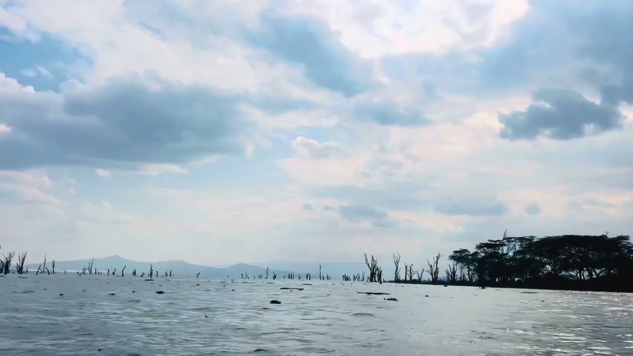 Lake Naivasha Nakuru City County Kenya East Africa Great Rift Valley Landscape Safaris Travels Epics