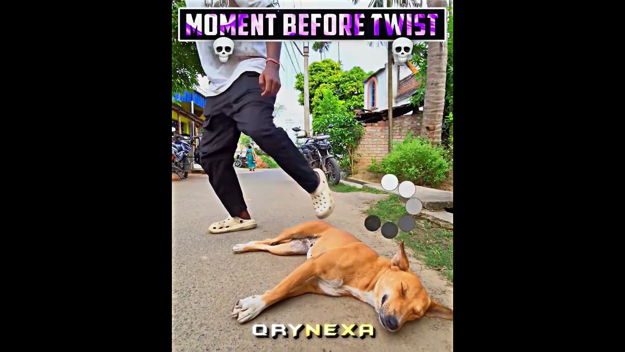 DOG WAS DEPRESSION 🤣