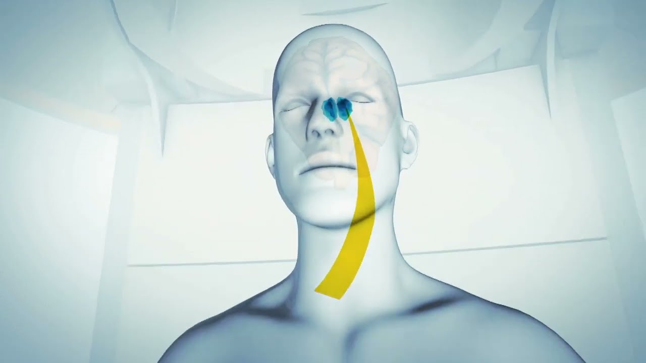 Découverte | Traiter les tremblements du parkinson avec des ultrasons