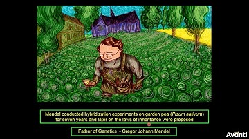 1. 12B05.4 CV1 Mendel