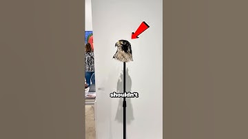 This is why you should not believe everything you see #shortvideo