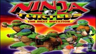 Ninja Turtles The Next Mutation Theme 1