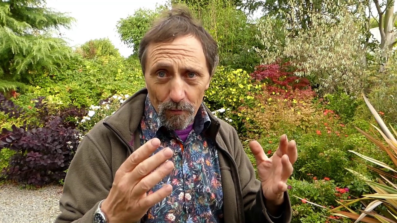 Plants that grow for their leaves and not for their flowers