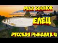 русская рыбалка 4 - Елец река Вьюнок - рр4 фарм Алексей Майоров russian fishing 4