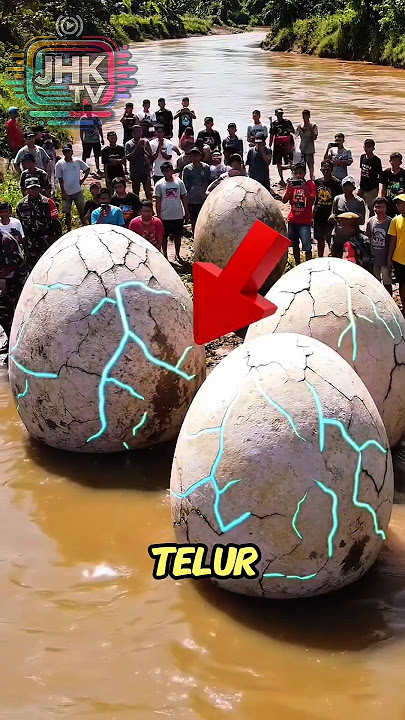 Download lagu “Wow! Giant Egg Floating in the Bengawan Solo River‼️” #shorts #viral #viralvideo