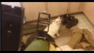 My Second Part In Mechanical God