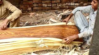 A special sight! Mass Production of Plywood