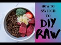 BEST WAY TO SWITCH TO RAW DOG FOOD: Tips and Tricks to Start Your Dog on a DIY Raw  Food Diet