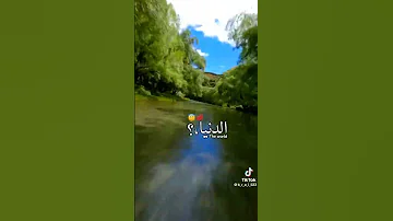 اغنية حبيتك انت صغيوره فيك الدنيا كلها دورا 