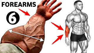 6 BEST Exercises For Bigger Forearms Workout
