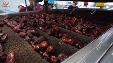 Gelgoog Dates Washing And Drying Machine Exported To Saudi Arabia