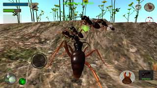 1 hiện tượng lạ khi tôi chơi Ant Simulator 3D screenshot 2