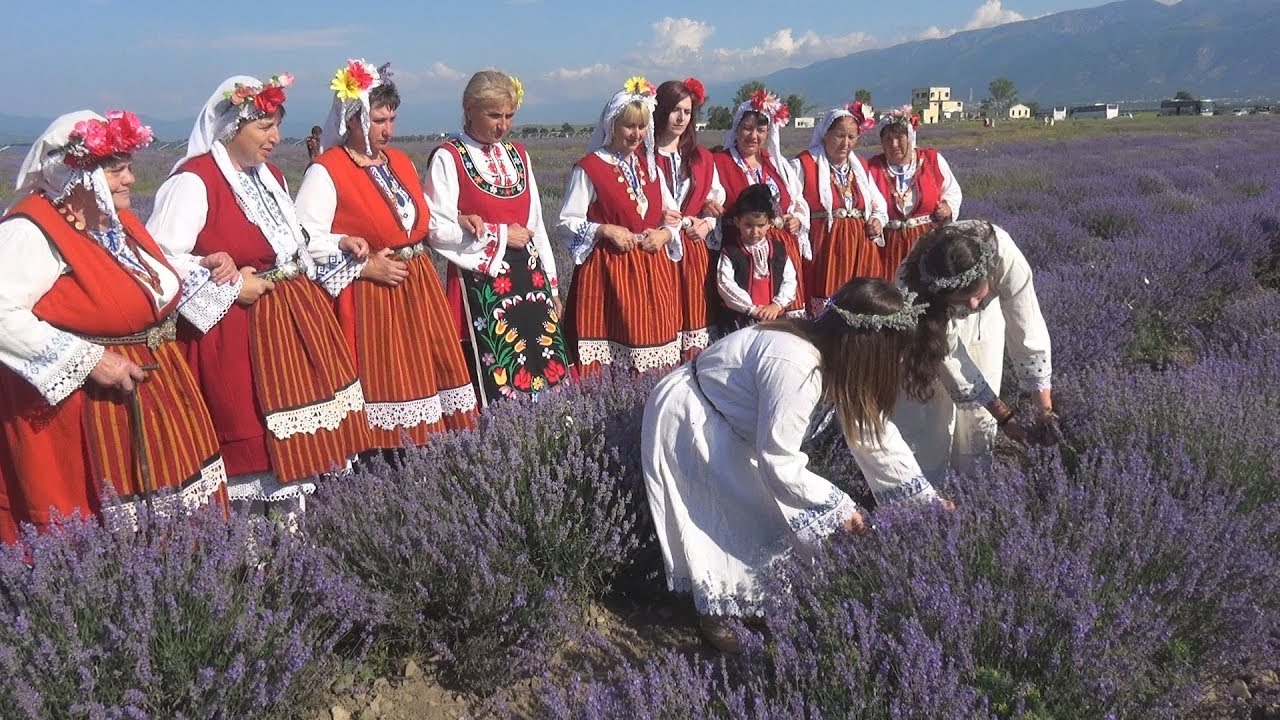 Ритуалът „Жънене на лавандула“ бе представен на празника на лилавото цвете в Карлово - YouTube