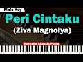 Ziva Magnolya - Peri Cintaku Karaoke Piano MALE KEY